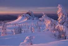 Мина Красноречивый подскажет, когда морозов ждать: приметы и запреты на 23 декабря