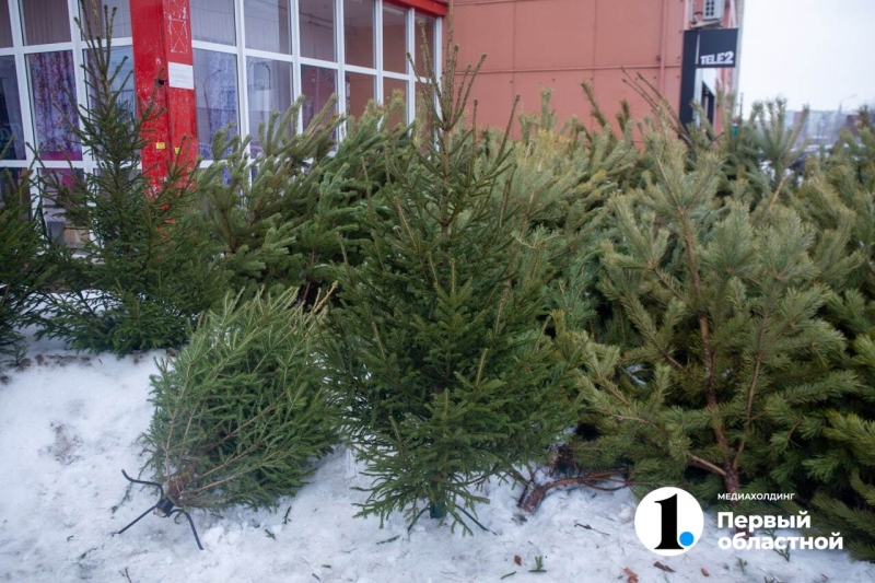 Новогодние елки подорожали в Челябинске на 70%
