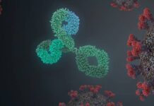 Врач рассказал, как часто можно повторно заболеть гриппом, ковидом и простудой