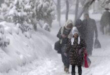 Аномальная волна холода: к чему готовиться жителям центральной России