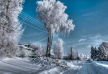 Гороскоп от Ирины Богдан на 7 января 2023 года для всех знаков зодиака