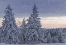 Петр-полукорм погоду на сентябрь определяет: народные приметы на 3 января 2023 года