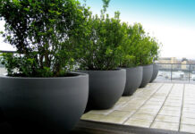 Преимущества бетонных вазонов