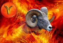 «Лучшие союзники»: какие знаки зодиака подходят Овнам