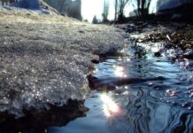 Народный праздник 23 марта 2023 года: где на Василису можно было увидеть судьбу