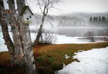 Почему в народный праздник Александров день 28 марта на Руси боялись ходить в лес