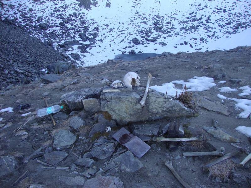 <br />
Раскрыта одна из тайн «озера скелетов» в Гималаях                