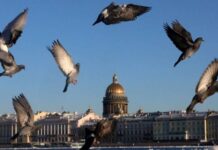 «Тройной праздник»: как 25 марта «приманить» удачу на всю жизнь