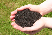 Биогумус: применение в качестве удобрения