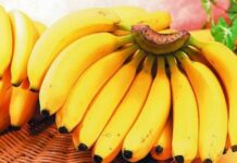 Зеленые, желтые или перезрелые: какие бананы лучше покупать