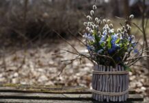 Грехи и благости Вербного воскресенья 9 апреля 2023 года: можно ли работать в огороде и посещать кладбище