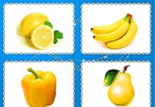 Какую роль играет дидактическая игра в развитии детей дошкольного возраста?