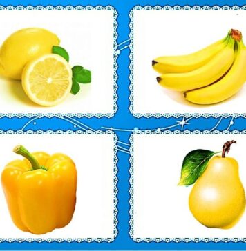 Какую роль играет дидактическая игра в развитии детей дошкольного возраста?