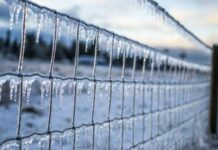 Как на Руси на Кирилла Катаника 3 апреля пытались предсказать будущее