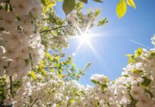 Какая будет весна в России в 2023 году, приметы и прогнозы