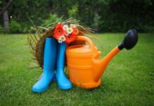 Когда и что нужно сажать в период с 24 по 30 апреля 2023 года по лунному календарю