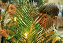 Почему «пальмовое» воскресенье в России называют Вербным