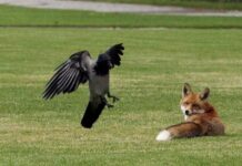 Приметы и поверья на 27 апреля 2023 года