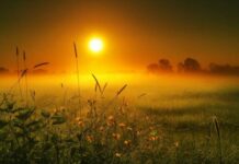 Самое странное лето за целый век: пугающий прогноз синоптиков на лето 2023 года