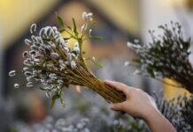 Сколько веток вербы должно быть в одном букете на Вербное воскресенье