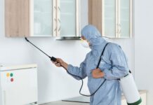 Особенности дезинфекции квартиры