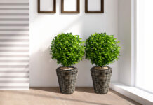 Какие обычно искусственные растения используют для декорации в напольных горшках?