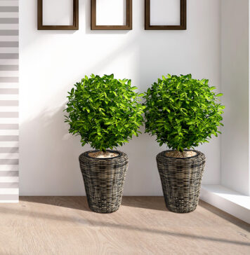 Какие обычно искусственные растения используют для декорации в напольных горшках?