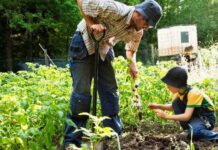 Десятки тысяч рублей: за что придется заплатить дачникам