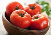 Дневник дачника: чем обработать томаты на грядках