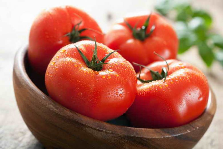 <br />
Дневник дачника: чем обработать томаты на грядках                