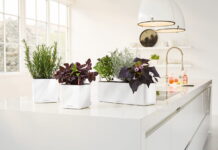 Какой официальный сайт Lechuza в России?