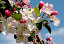 Какой сегодня, 2 мая, отмечают праздник в России и мире