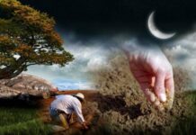 Лунный посевной календарь на май 2023 года