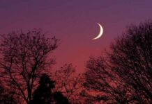 Магическое новолуние 19 мая 2023 года: главные задачи и запреты