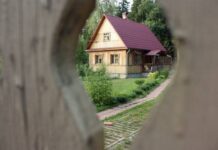 Штраф и арест: когда за срыв плодов и цветов на даче могут наказать по закону