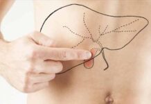 Три группы продуктов, которые помогут наладить отток желчи