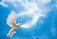 Запреты и традиции праздника Вознесения Господня: самое важное, что нужно сделать в этот день