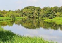 Запреты на Николу Летнего 22 мая: почему люди боятся их нарушать