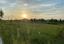 Что можно и что нельзя делать 29 июня, в день Тихона Утешителя