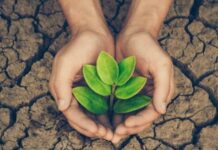 Какой праздник отмечают в мире и России 17 июня 2023 года