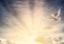 Категорические запреты в Духов день 5 июня 2023 года: грешно ли работать в праздник