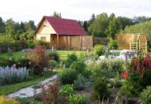 Максимальный размер штрафа за неухоженный дачный участок: что необходимо знать?