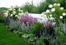 Не делайте так: пять ошибок в уходе за цветами, которые совершает каждая женщина