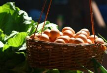 Не купаться и не давать в долг: категорические запреты 30 июня, дня Ярилок и святых братьев Мануила, Савела и Исмаила