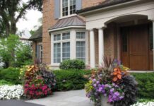 Опасное озеленение: какие растения нельзя высаживать под окнами домов