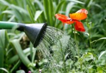 Полезные хитрости: как сэкономить воду на даче