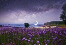 Правила и рекомендации: как наилучшим образом встретить новолуние в Близнецах 18 июня 2023 года