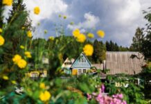 Сколько дней после Троицы нельзя работать в огороде