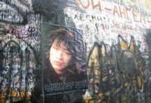 Украинский депутат Верховной рады Пипа написала заявление из-за исполнения песен Цоя во Львове