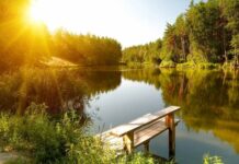 В Духов день 5 июня в воду не гляди и в лес не ходи: традиции народного праздника